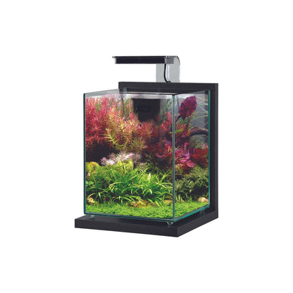 Zolux Jalaya 2 Acquario in Vetro con Supporto Illuminazione Filtro 10 L