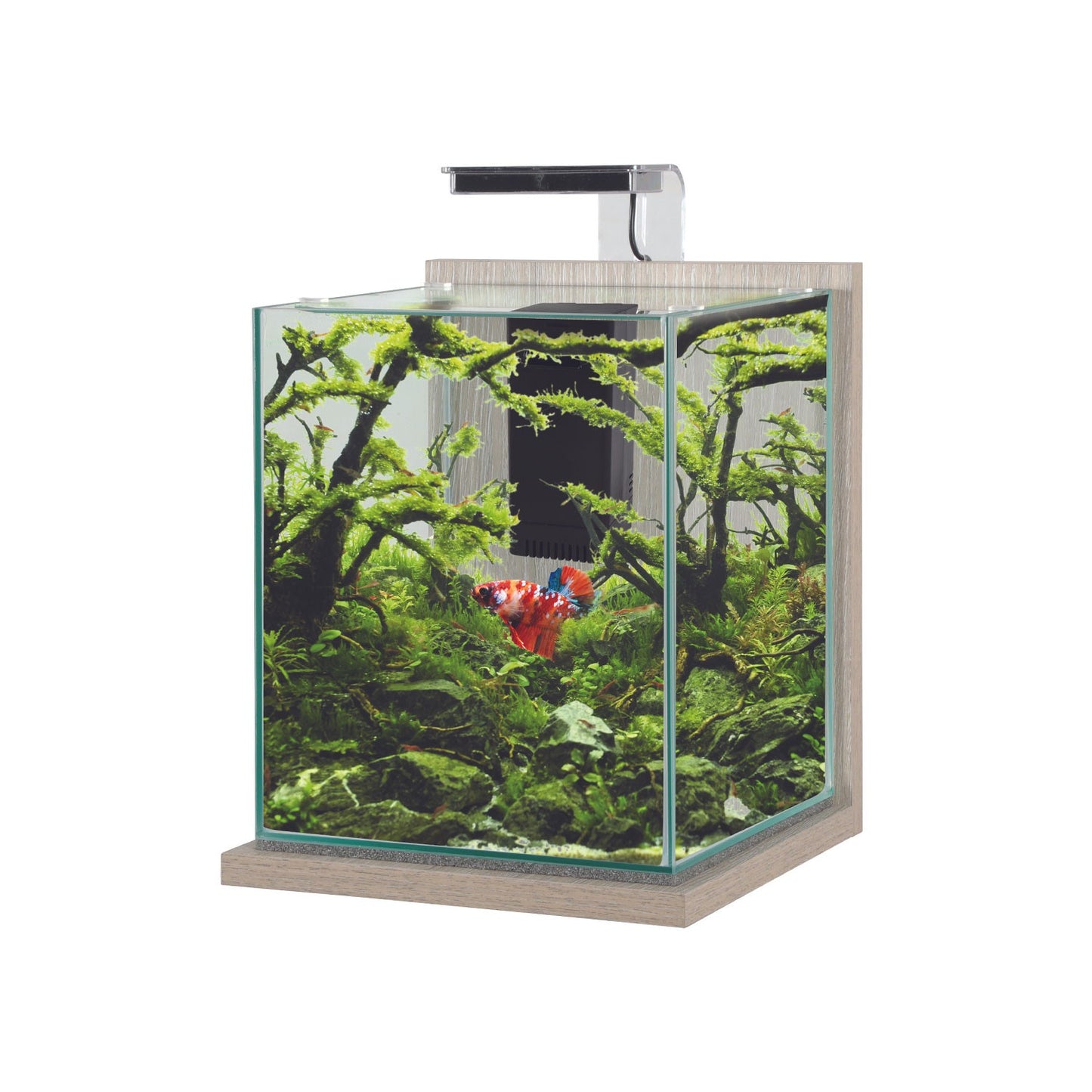 Zolux Jalaya XL Acquario in Vetro con Supporto Illuminazione Filtro 18,7 L