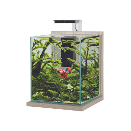 Zolux Jalaya XL Acquario in Vetro con Supporto Illuminazione Filtro 18,7 L