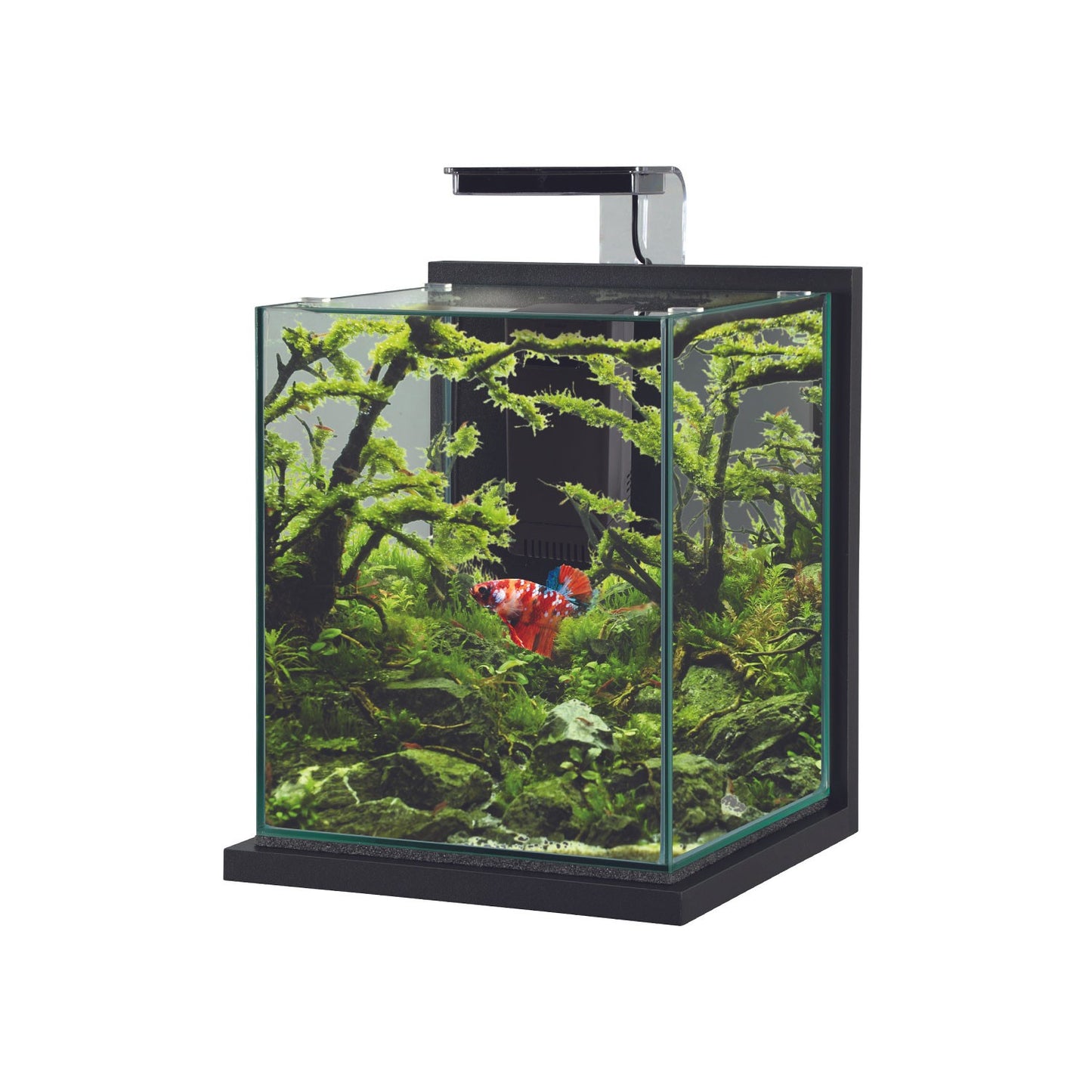 Zolux Jalaya XL Acquario in Vetro con Supporto Illuminazione Filtro 18,7 L