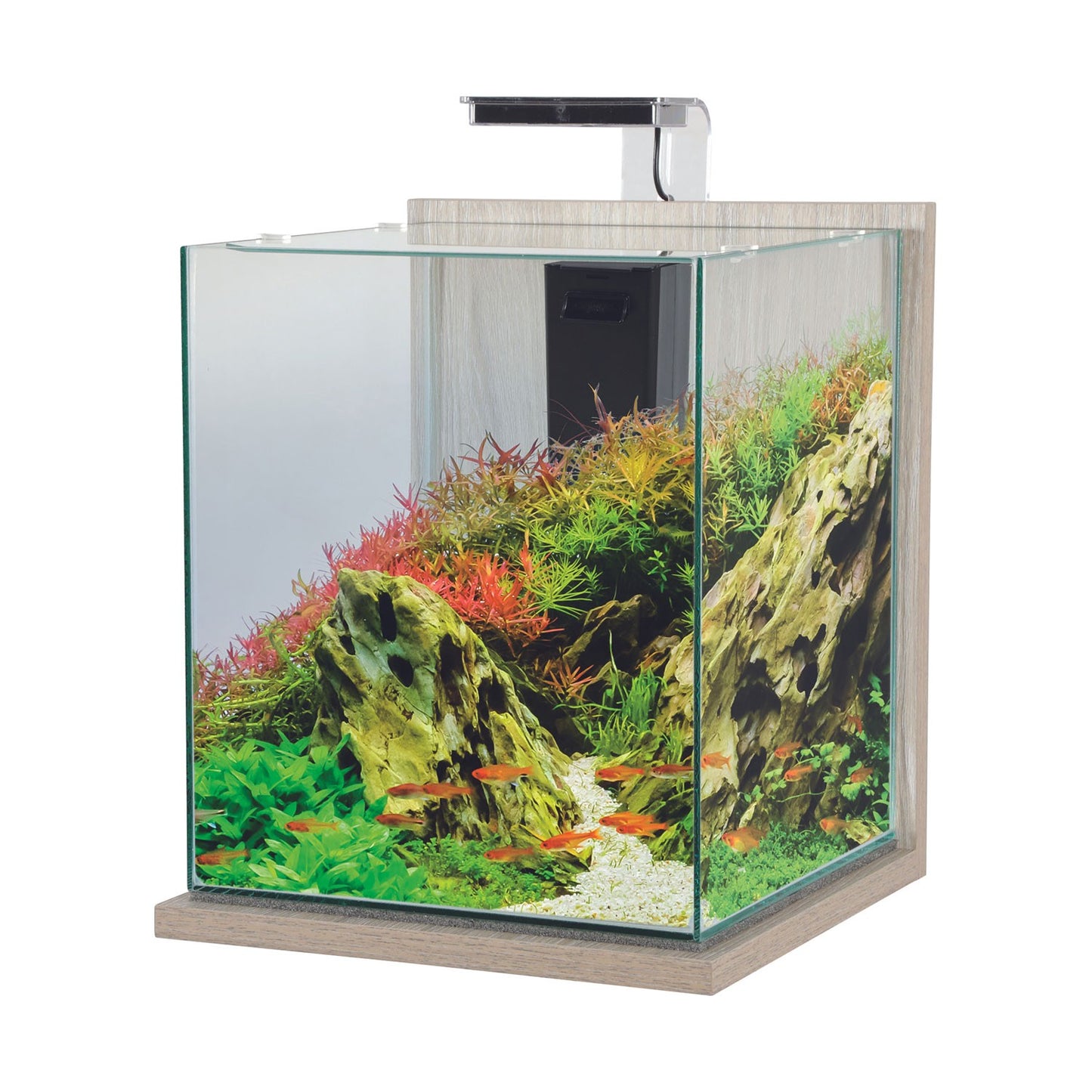 Zolux Jalaya XXL Acquario in Vetro con Supporto Illuminazione Filtro 31,5 L