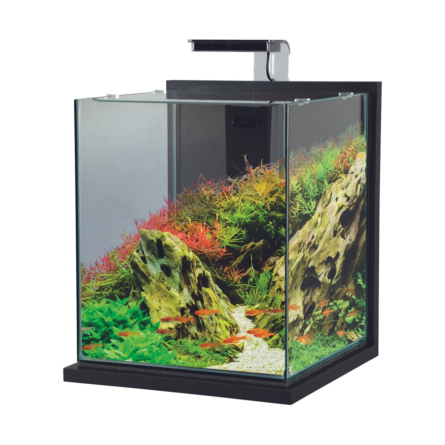 Zolux Jalaya XXL Acquario in Vetro con Supporto Illuminazione Filtro 31,5 L