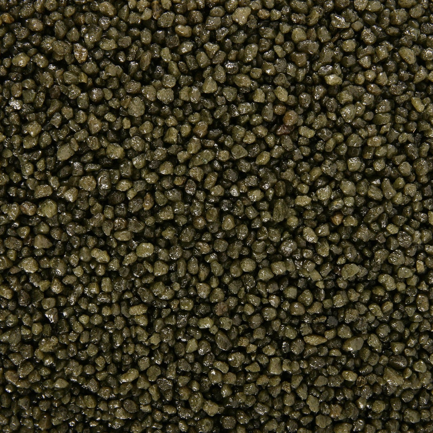 Zolux AquaSand Color Sabbia Ghiaia Colore Verde Muschio per Acquari 5 kg