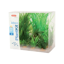 Zolux PlantKit Jalaya Modello 1 Set 6 pz Piante Artificiali Decorative per Acquari