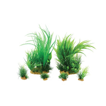 Zolux PlantKit Jalaya Modello 1 Set 6 pz Piante Artificiali Decorative per Acquari