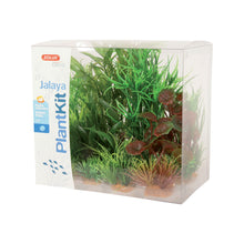Zolux PlantKit Jalaya Modello 2 Set 6 pz Piante Artificiali Decorative per Acquari