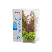Zolux PlantKit Idro Modello 1 Set 7 pz Piante Artificiali Decorative per Acquari
