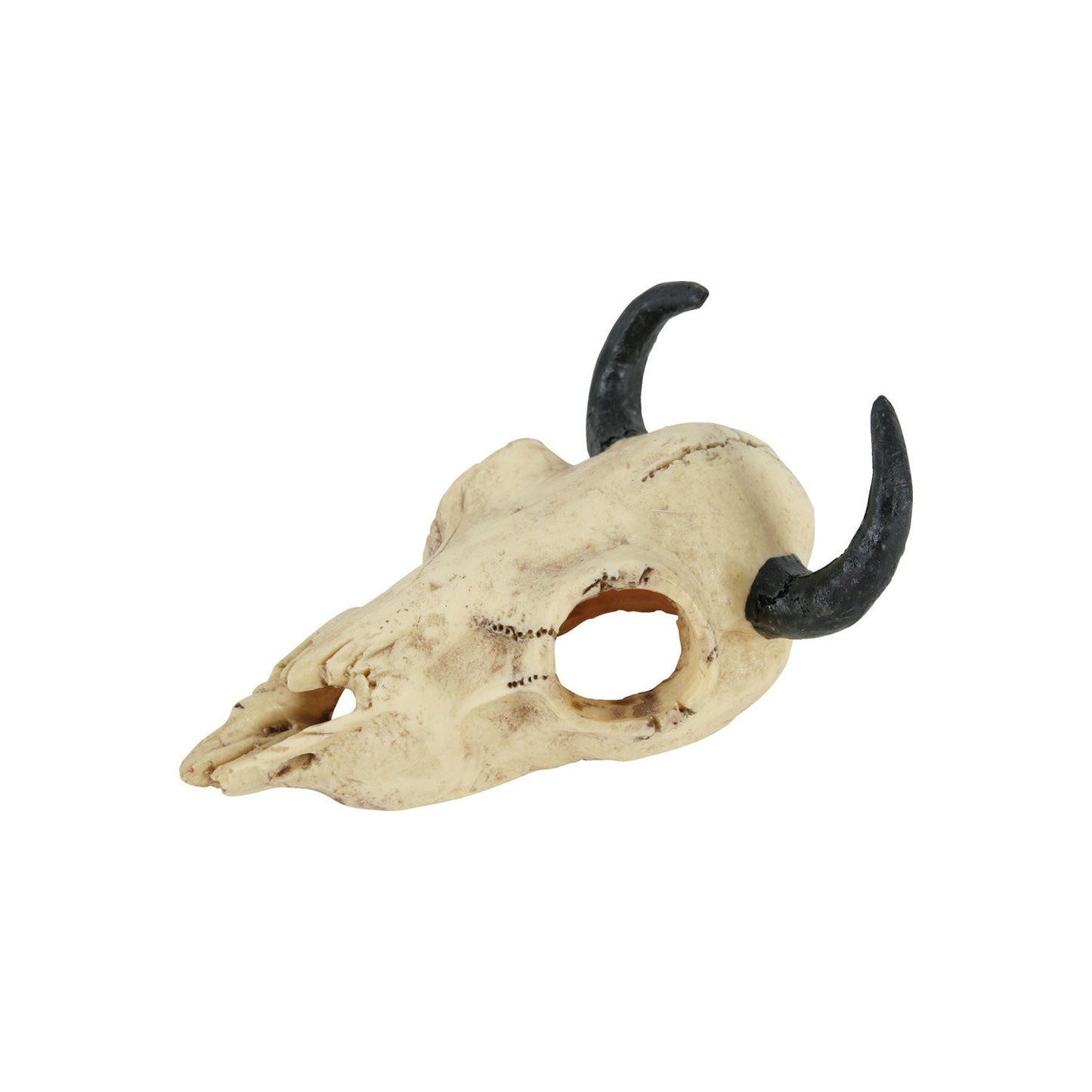 Zolux Jurassic Teschio di Dinosauro Mod. 1 Decorazione in resina per Acquari