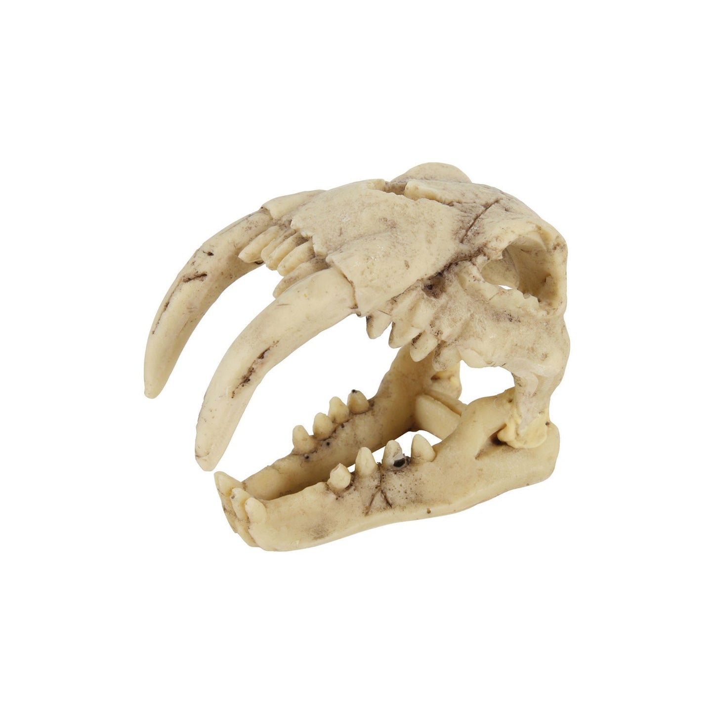 Zolux Jurassic Teschio di Dinosauro Mod. 4 Decorazione in resina per Acquari