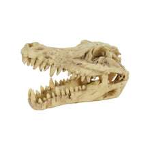 Zolux Jurassic Teschio di Dinosauro Mod. 6 Decorazione in resina per Acquari