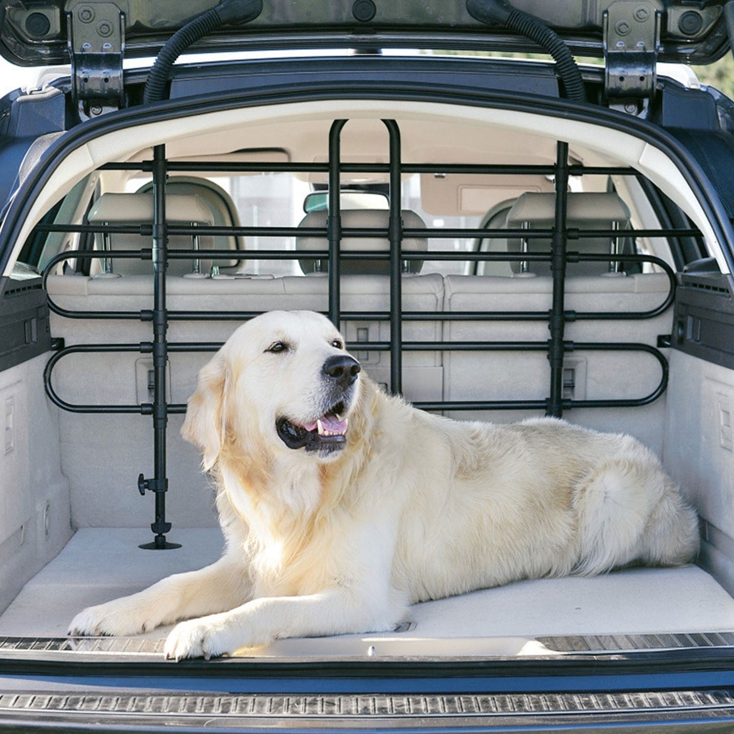 Zolux Griglia di Sicurezza Divisorio Auto Universale per Cani