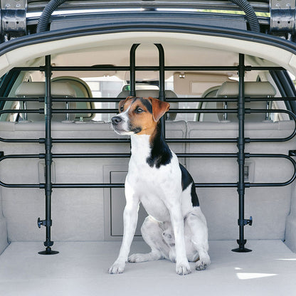 Zolux Griglia di Sicurezza Divisorio Auto Universale per Cani