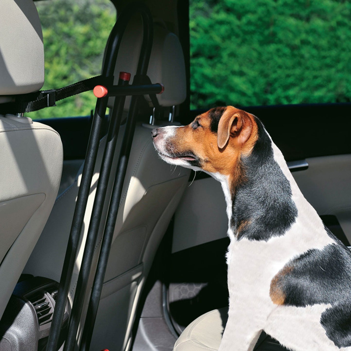 Zolux Griglia di Sicurezza Divisorio Auto Centrale per Cani