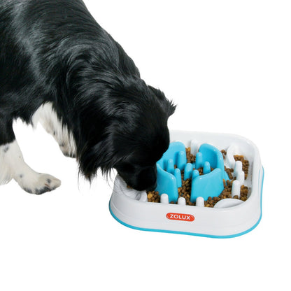 Zolux Ciotola Quadrata Anti-Ingozzamento Cibo per Cani