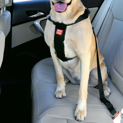 Zolux Pettorina Sicurezza Cani per Auto