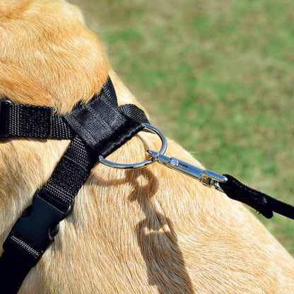 Zolux Pettorina Sicurezza Cani per Auto