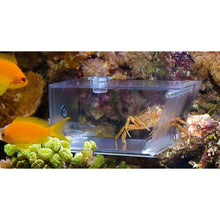 AquaMedic Trap-pest Tappola Automatica Universale Per Invertebrati In Acquario