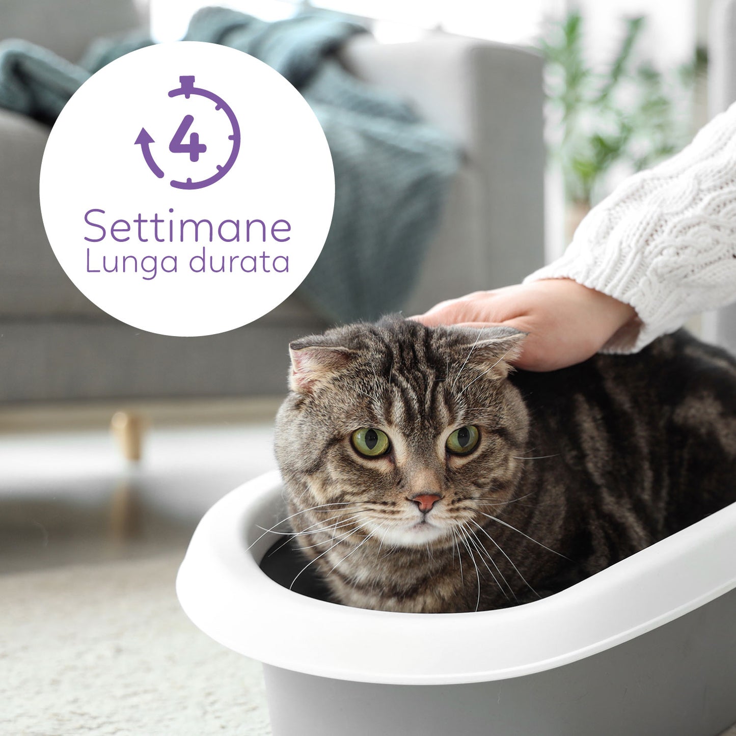 AqpetFriends Catty Pure Lettiera In Silicio per Gatti - profumazione lavanda - 5 L