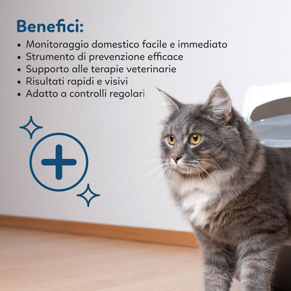 AqpetFriends Catty Pure Lettiera In Silicio per Gatti - Check PH - 5 L