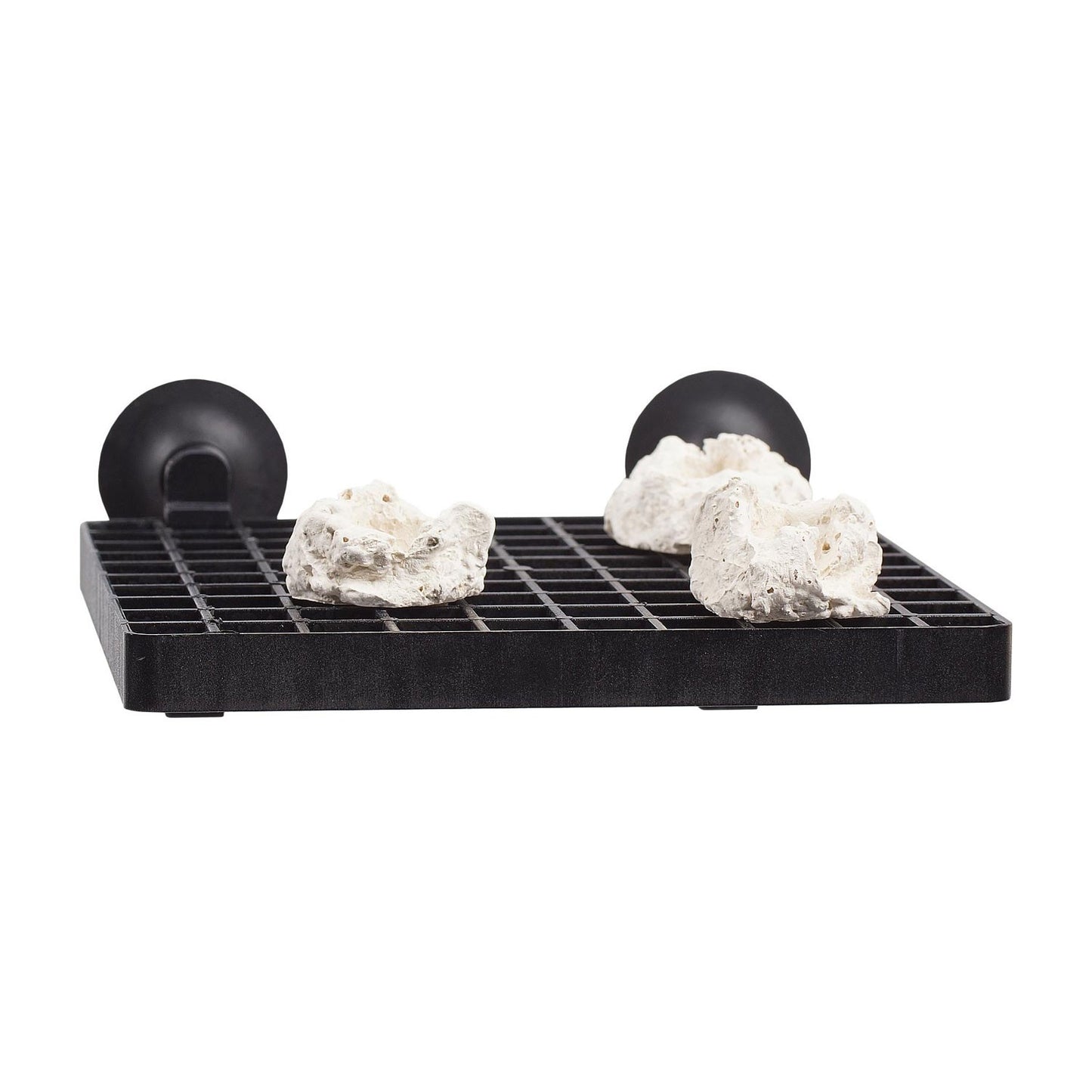 AquaMedic Frag Board Piastra Di Sostegno Per Coralli