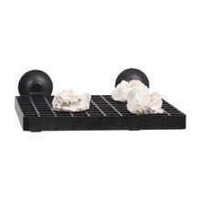 AquaMedic Frag Board Piastra Di Sostegno Per Coralli