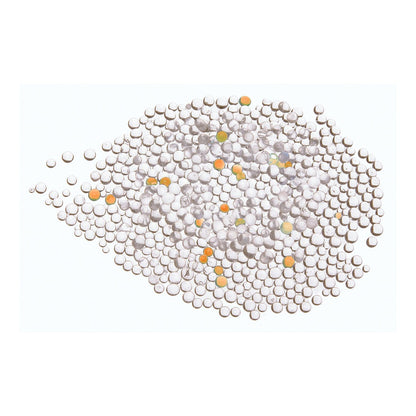 AquaMedic Ozone Booster Essiccatore d'Aria Accessorio Per I Generatori Di Ozono