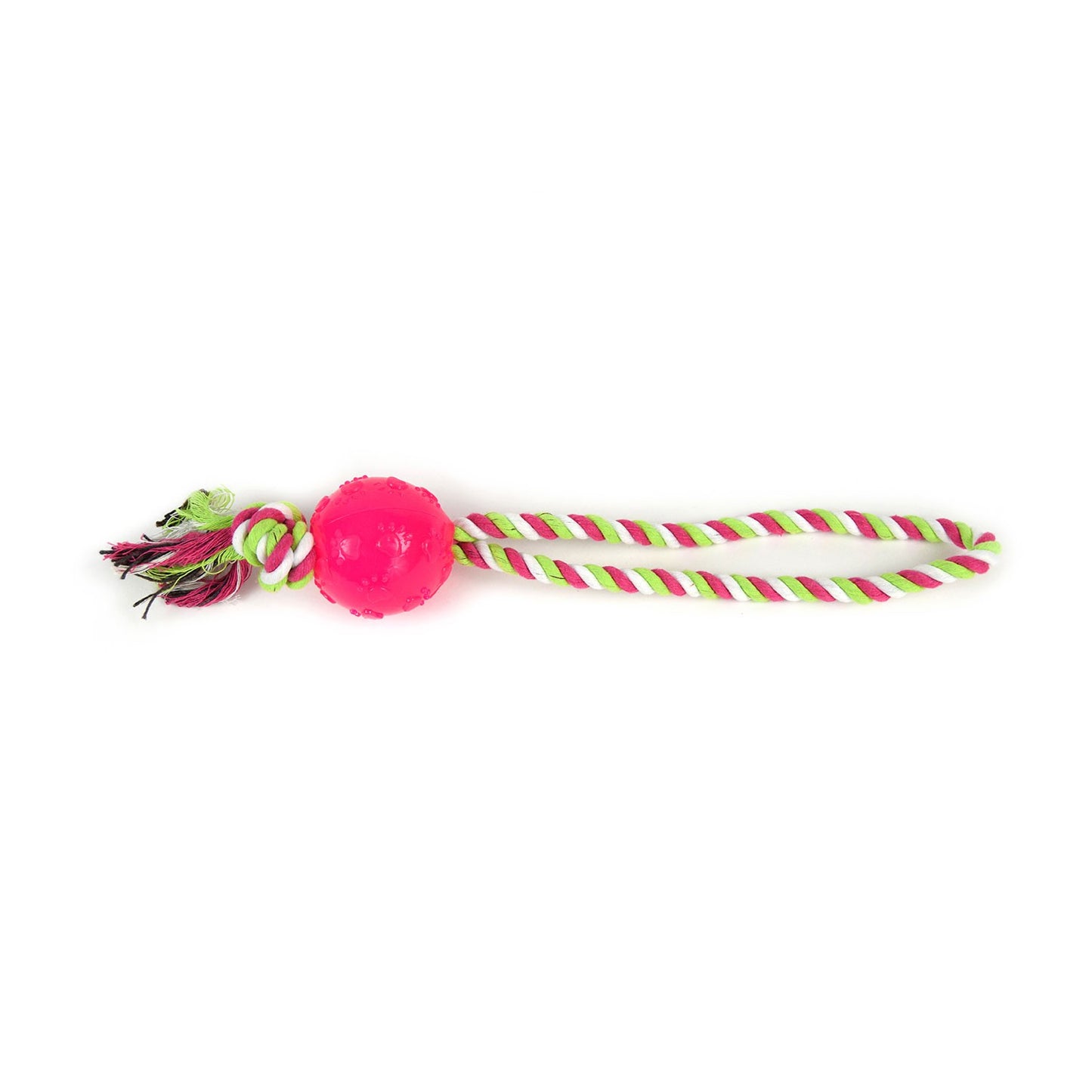 LeoPet Summer Kit Con 5 Accessori Per Estivi Per Cani
