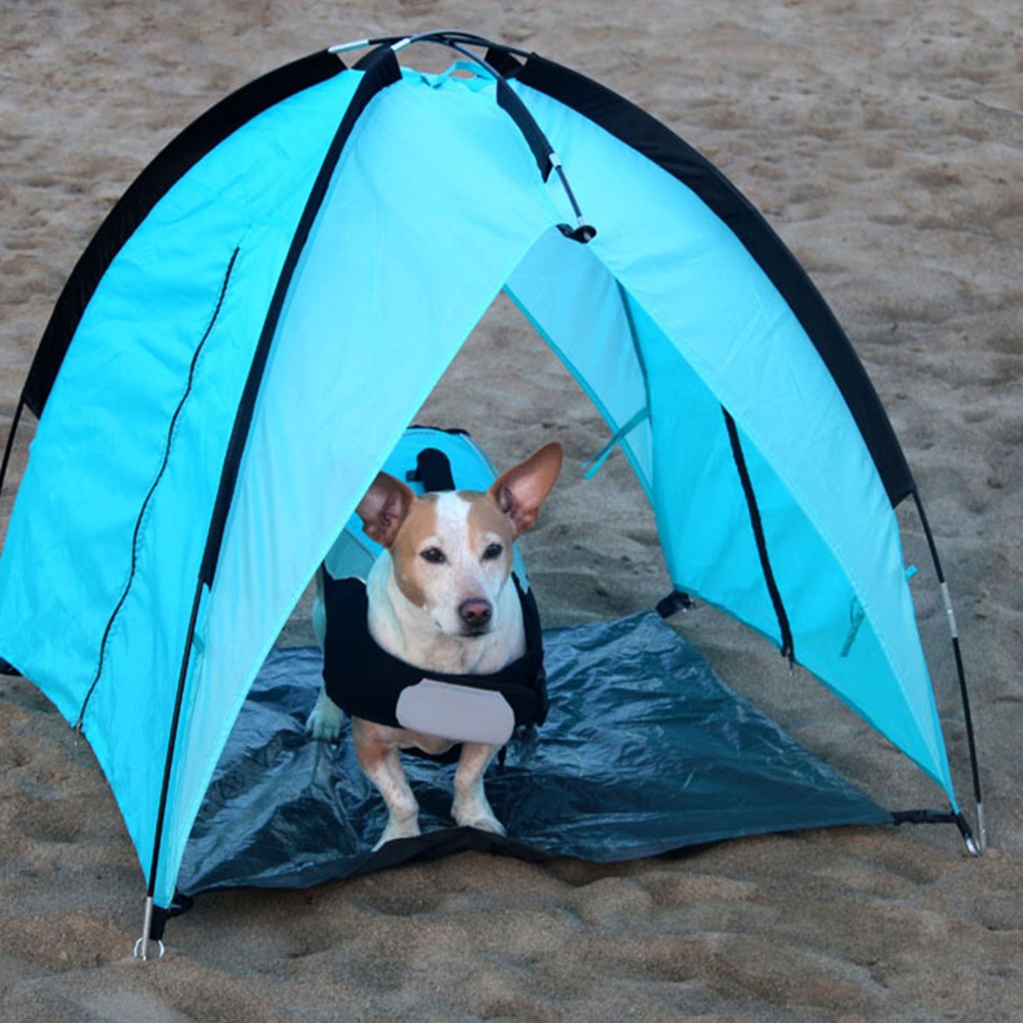 LeoPet Tenda Da Mare Per Cani Blu 91x94x89cm