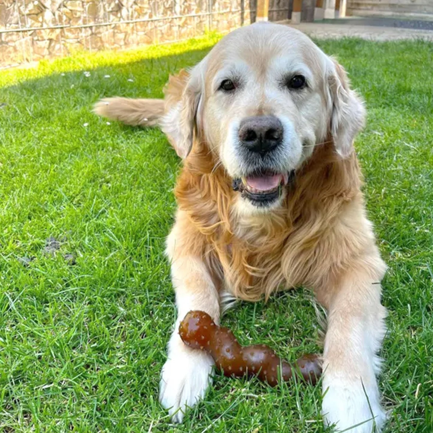 Flamingo Gioco Per Cani Di Gomma Rubba Serpente Con Punte Da Masticare Marrone
