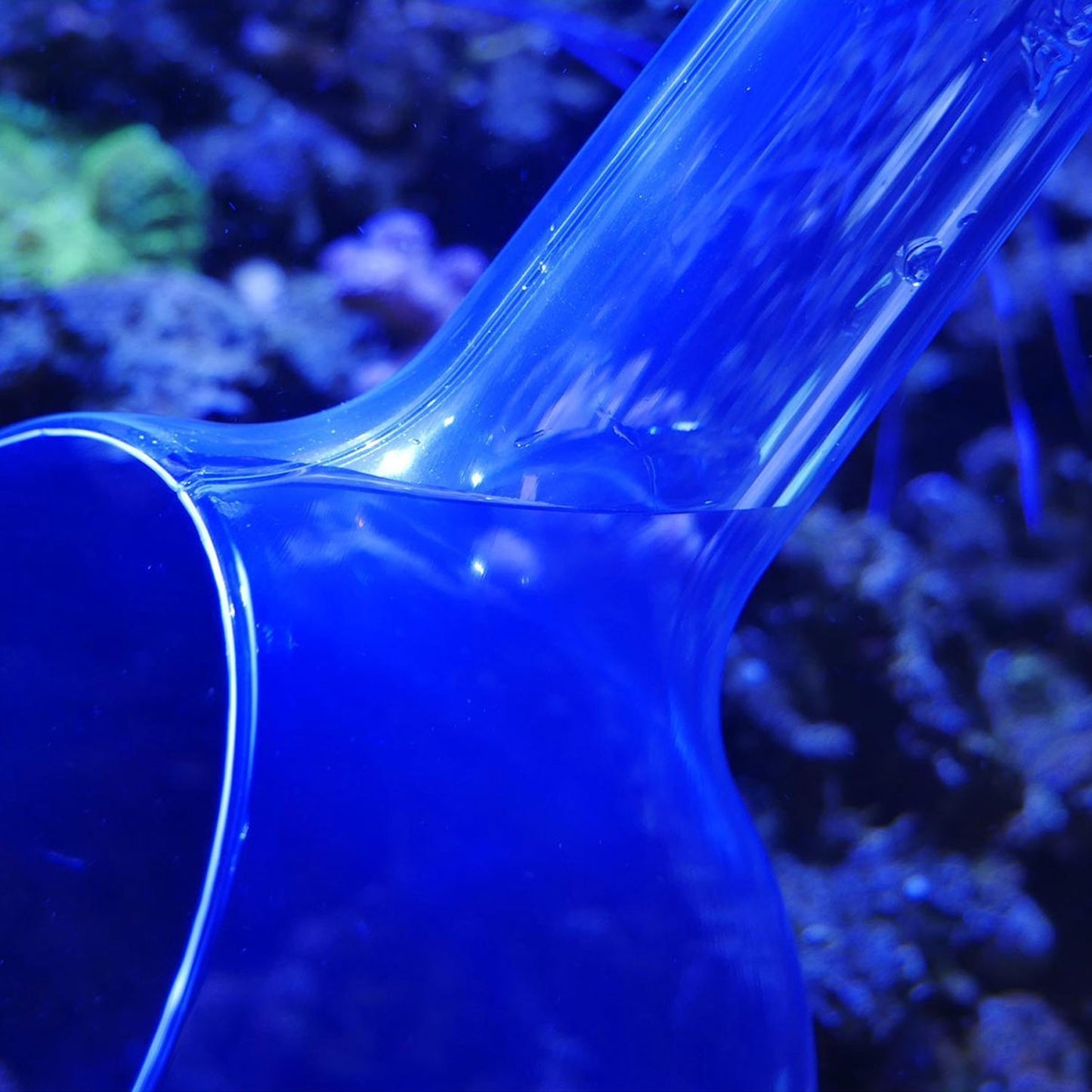 AquaMedic Catch Bowl Paletta Da Pesca Senza Stress Per Acquari