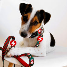 Dashi Noel Collar Collare Natalizio Per Cani