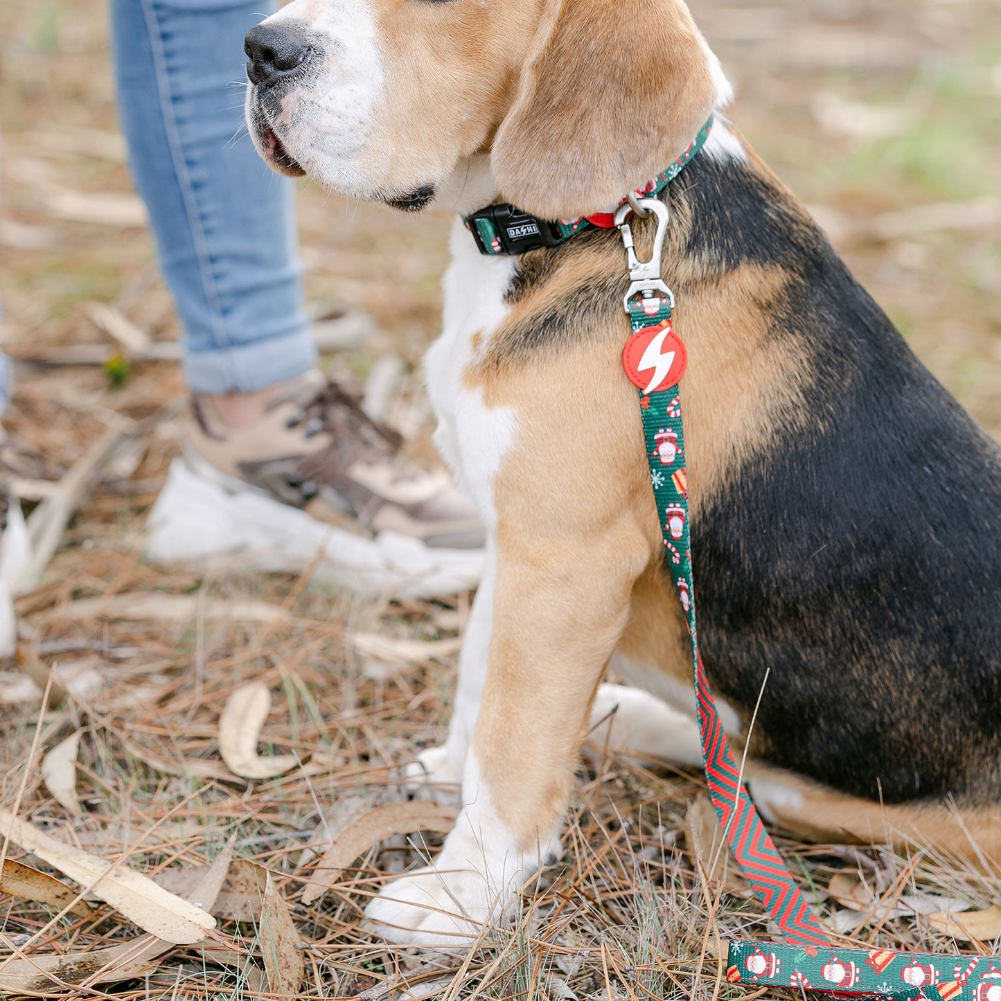 Dashi Noel Leash Guinzaglio Natalizio Per Cani