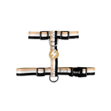 Dashi Stripes3 Brown&Black Back Harness Pettorina Posteriore Ad H Marrone/Nera per Cani