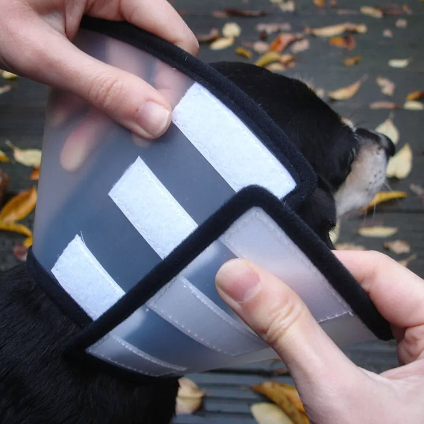 Flamingo Collare Protettivo Per Cani Con Chiusura A Strappo