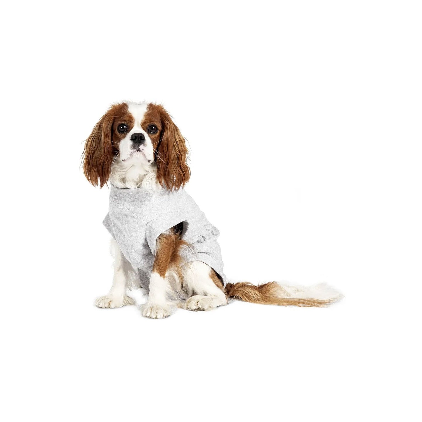 Flamingo Body Safety Felpa Protettiva In Cotone Per Cani Con Chiusura A Bottoni