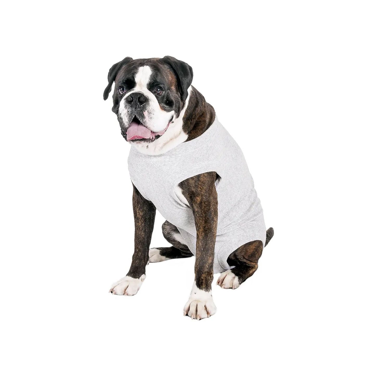 Flamingo Body Safety Felpa Protettiva In Cotone Per Cani Con Chiusura A Bottoni
