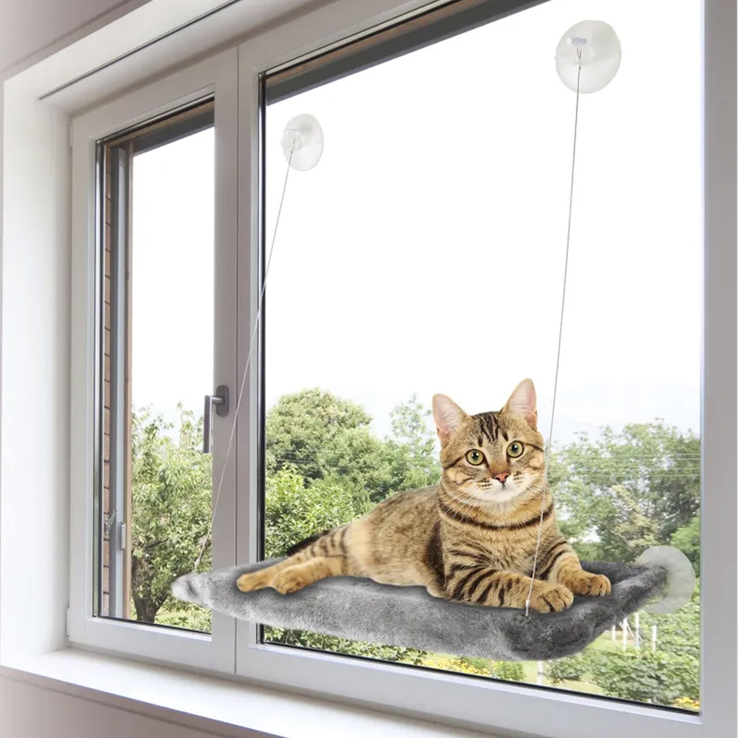 Flamingo Chill Amaca Da Finestra Con Rivestimento In Peluche E Supporto a Ventosa Per Gatti