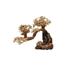 Aqpet Zen Bonsai Stork Legno Naturale Per Arredo In Acquario