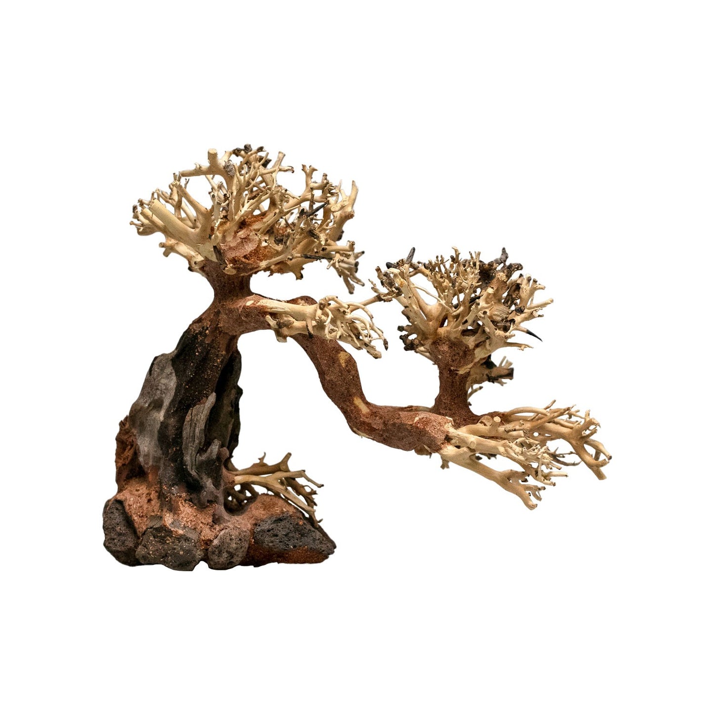 Aqpet Zen Bonsai Stork Legno Naturale Per Arredo In Acquario