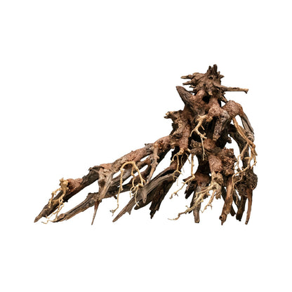 Aqpet Zen Bonsai Octopus Legno Naturale Per Arredo In Acquario