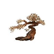 Aqpet Zen Bonsai Claw Legno Naturale Per Arredo In Acquario