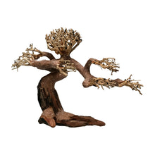 Aqpet Zen Bonsai Claw Legno Naturale Per Arredo In Acquario