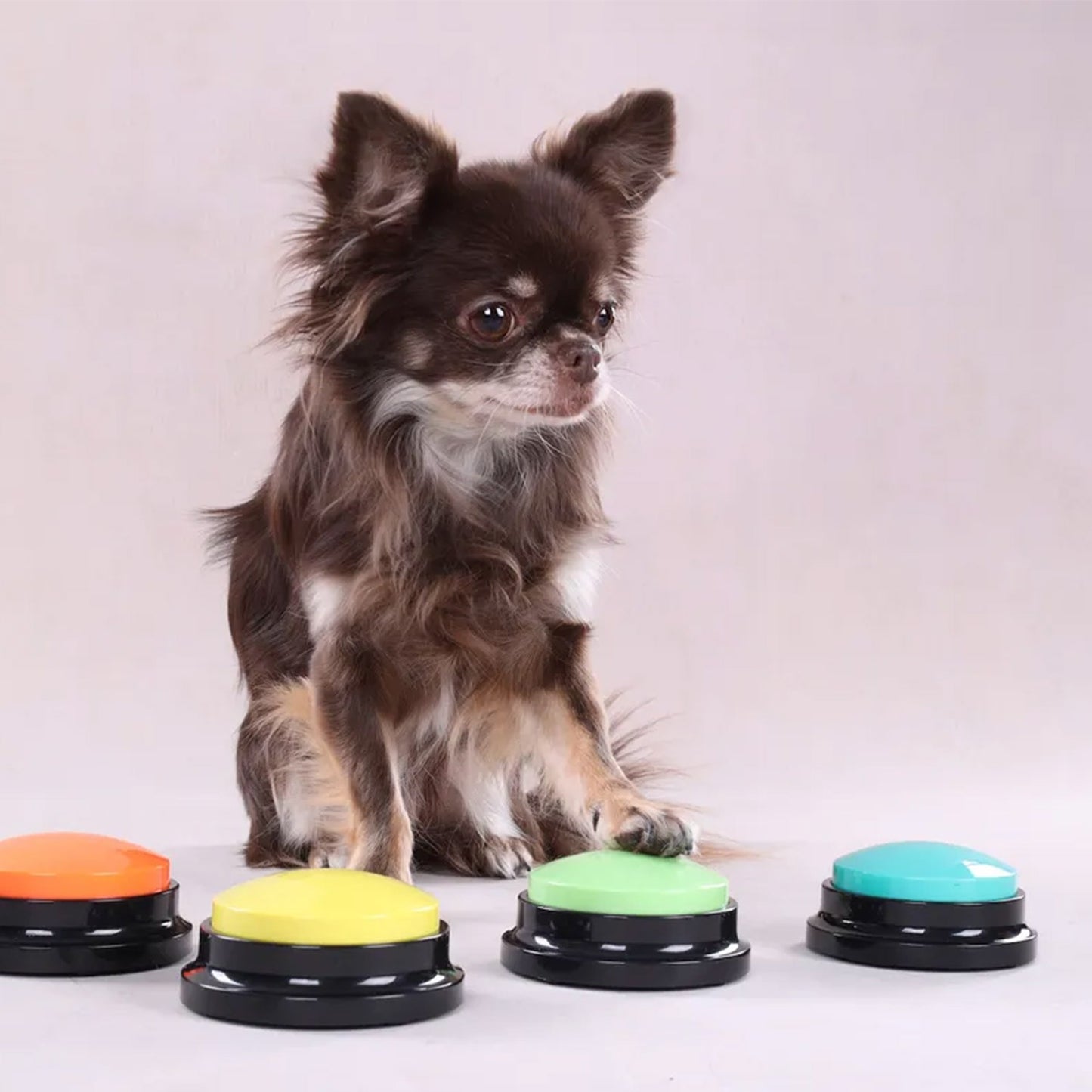 Flamingo Karao Multi Pulsanti Audio Registrabili Assortiti Per Cani