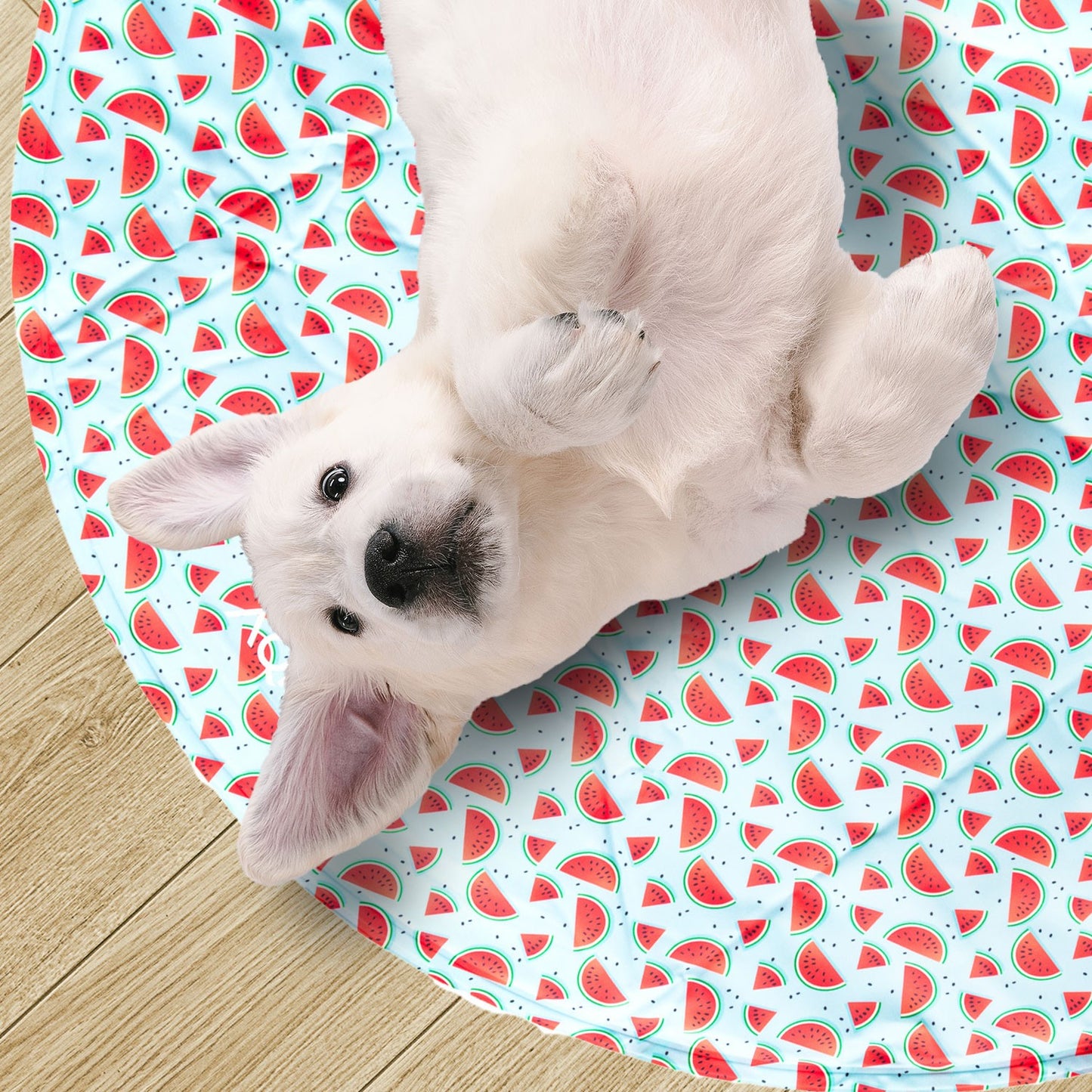AqpetFriends Fresh Round Mat Fruit Tappetino Refrigerante Tondo Per Cani e Gatti 60cm