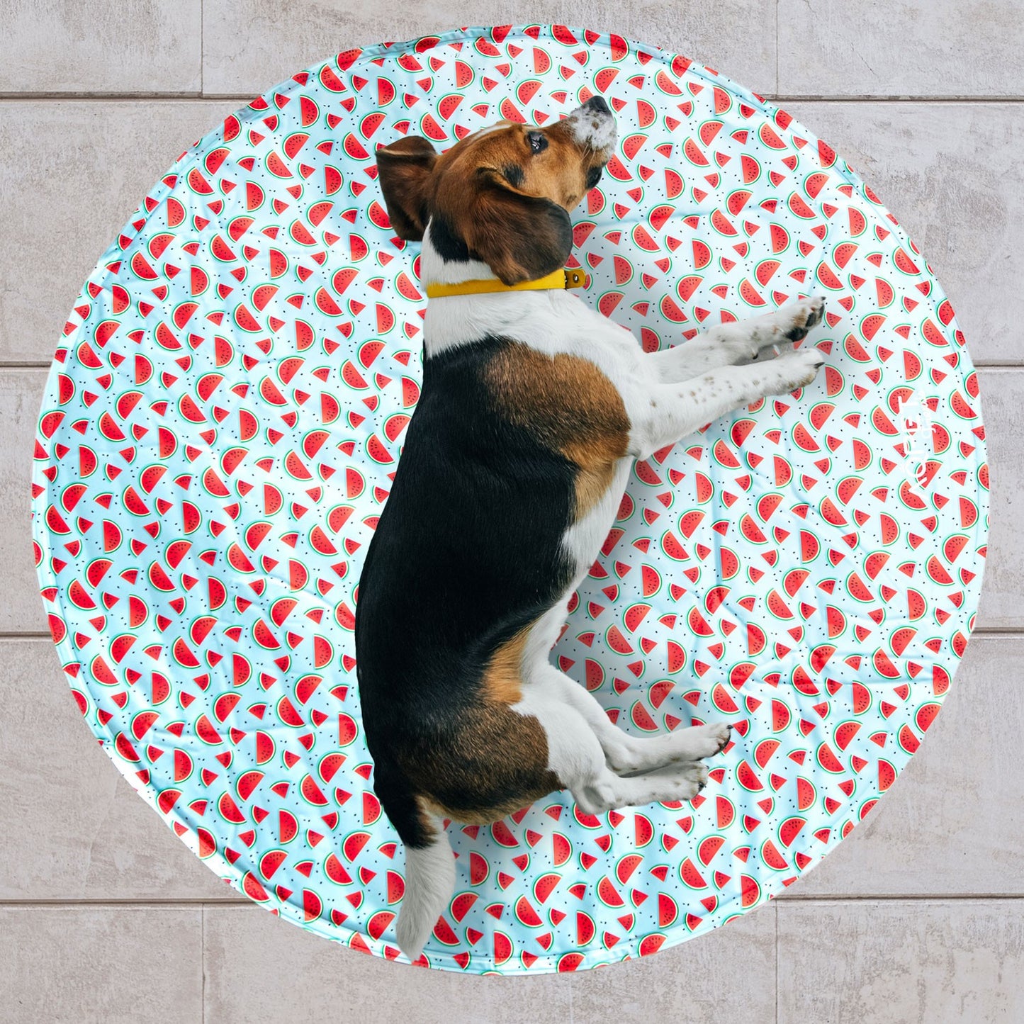 AqpetFriends Fresh Round Mat Fruit Tappetino Refrigerante Tondo Per Cani e Gatti 60cm