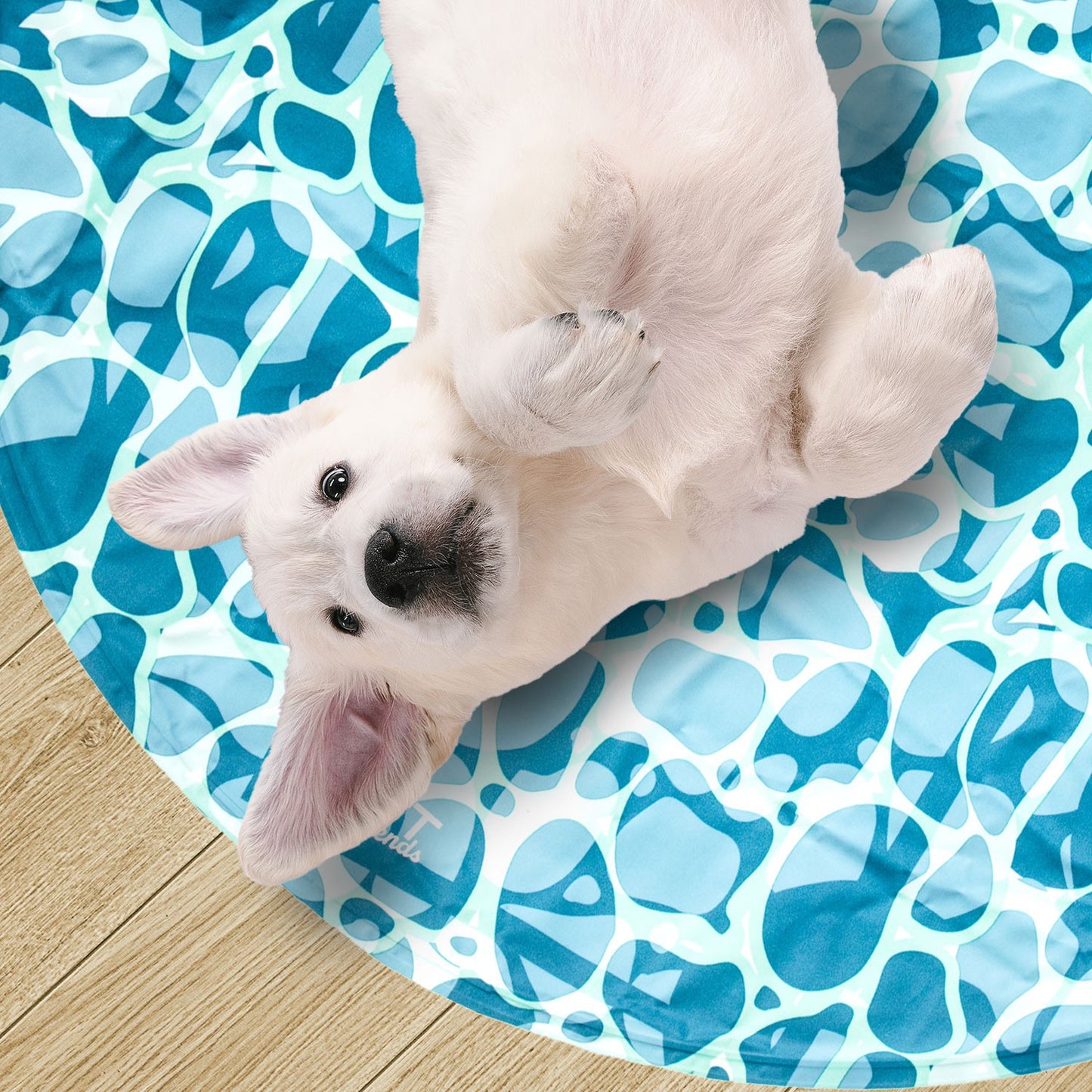 AqpetFriends Fresh Round Mat Sea Tappetino Refrigerante Tondo Per Cani e Gatti 60cm