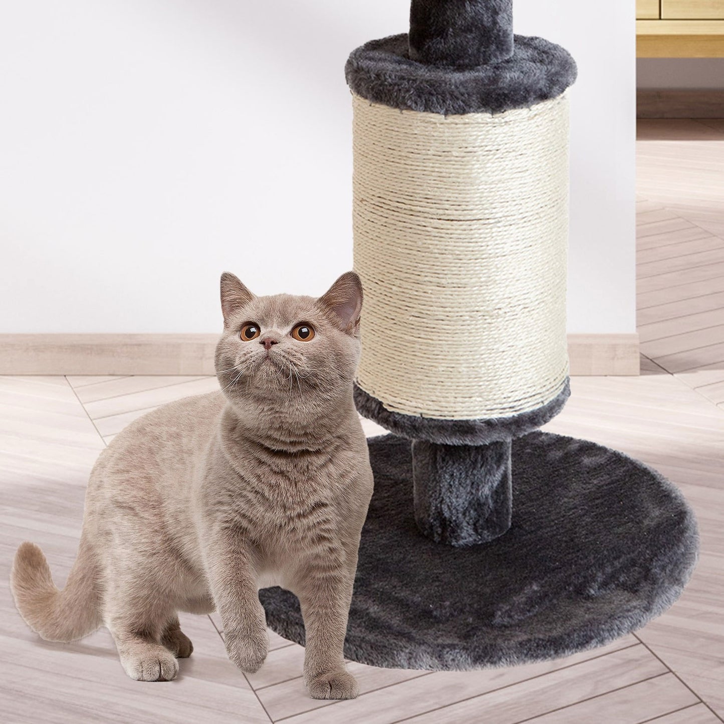 AqpetFriends Dublin Tiragraffi Rivestito In Peluche e Sisal Per Gatti 58cm Grigio