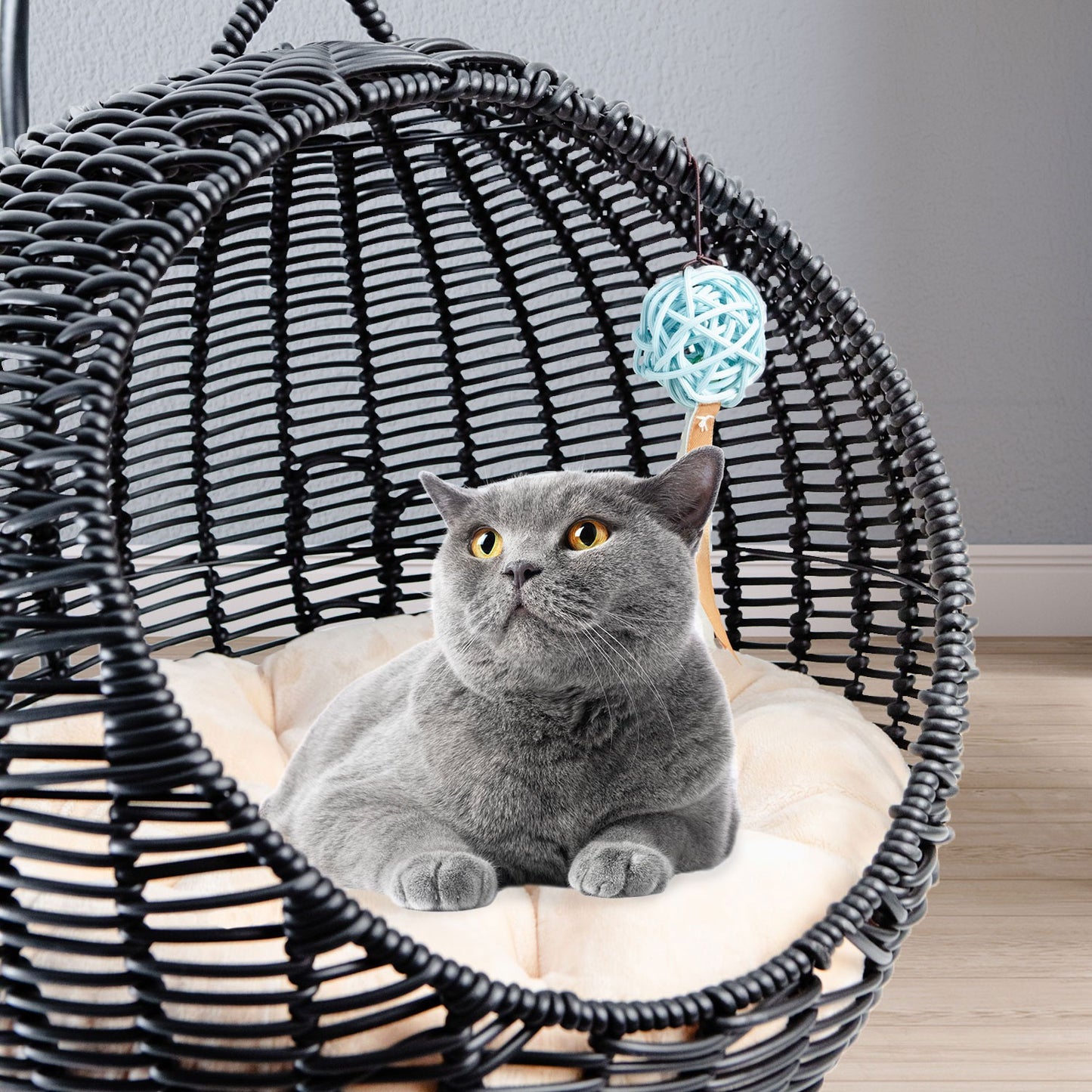 AqpetFriends Morfeo Cuccia Sospesa per Gatti di Alta Qualit? e Design Elegante Nero