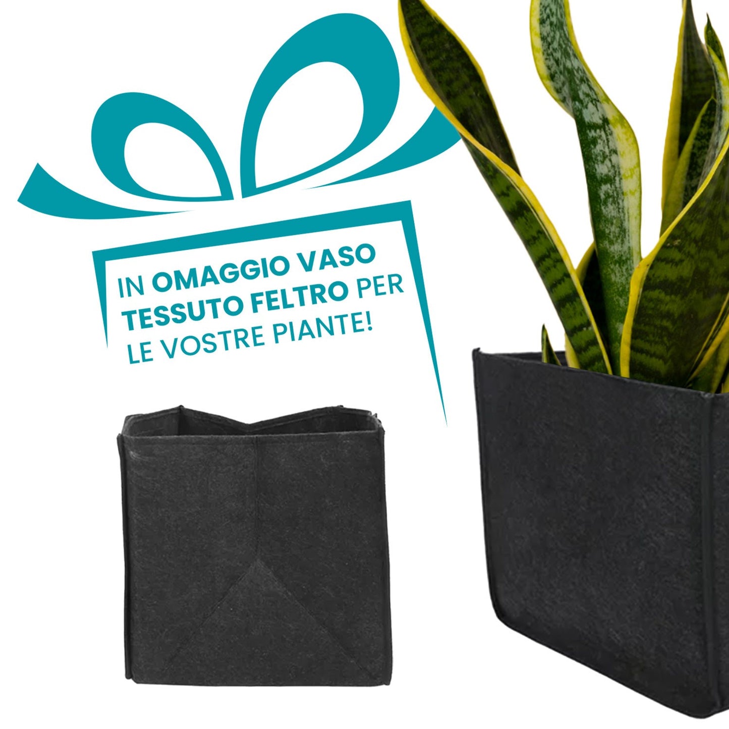 Flur Nymphea Fioriera Da Giardino Con Pannello Grigliato In Legno Large 160X40X40 CM