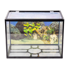 Aqpet One Mini Acquario Completo In Vetro